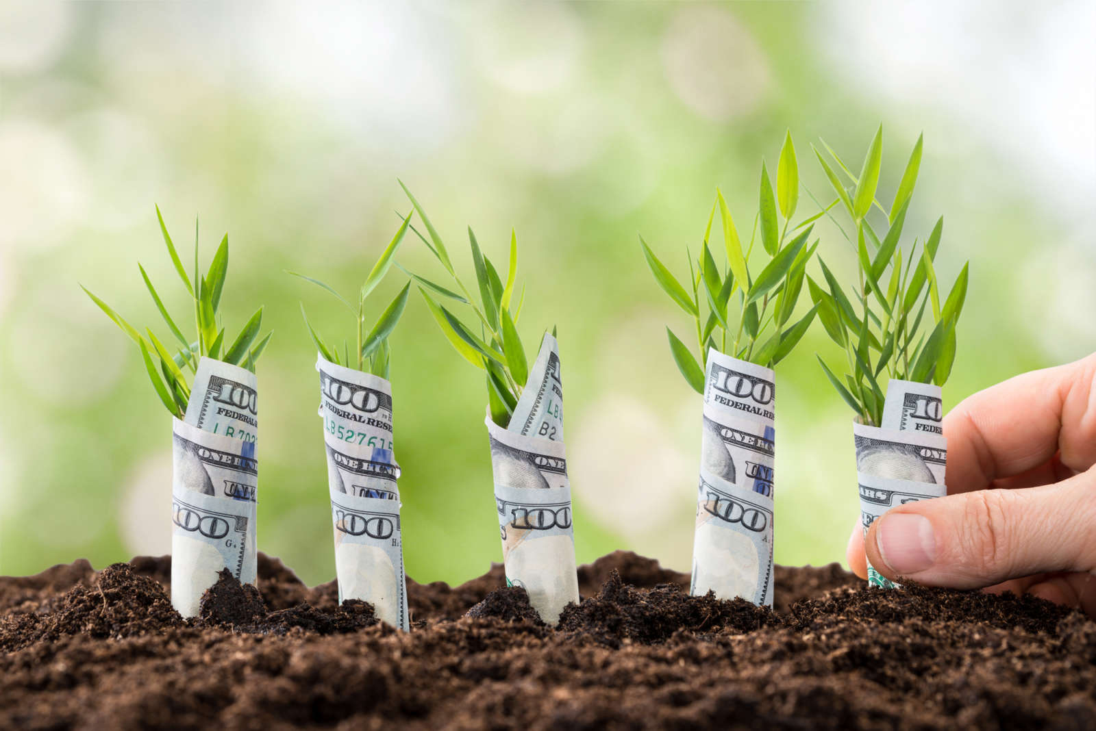 seed habits, money, wealth building