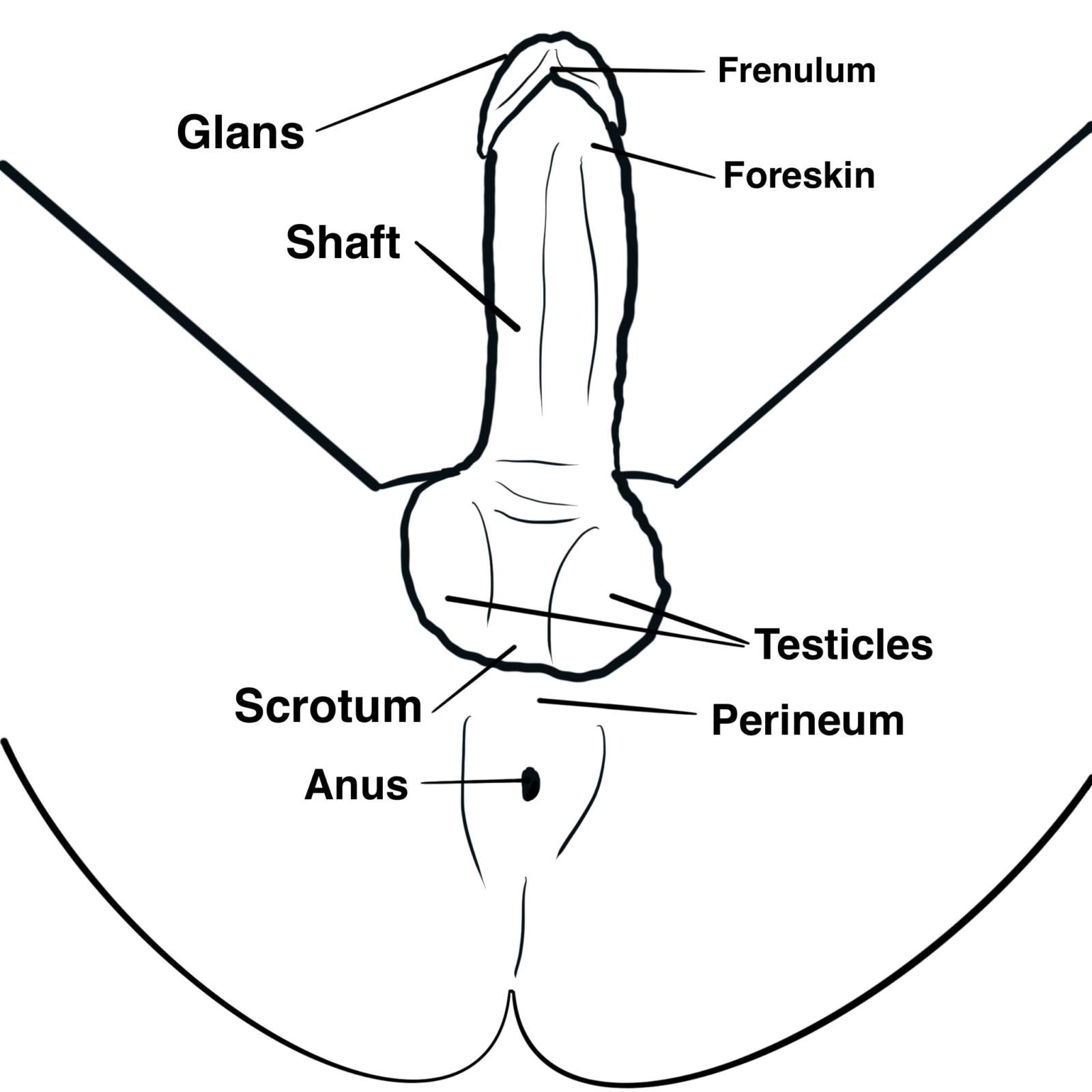 Hand job technics