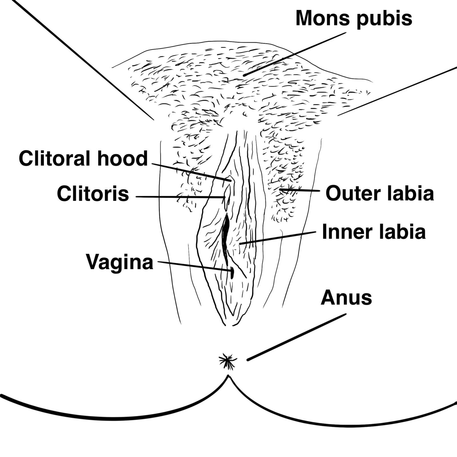 The Ultimate Guide To Eating Pussy Like A God